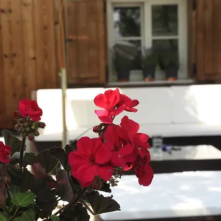 Omeshorn Anno 1593 Лех