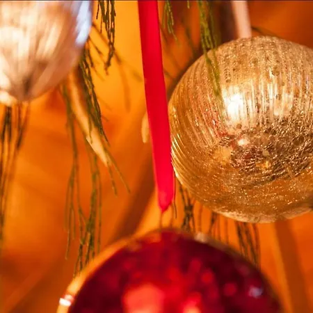 Lejlighed Omeshorn Anno 1593